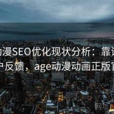 age动漫SEO优化现状分析：靠谱吗与用户反馈，age动漫动画正版官网