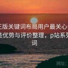 P站正版关键词布局用户最关心什么？有哪些优势与评价整理，p站系列关键词