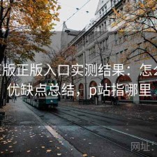 P站正版正版入口实测结果：怎么选与优缺点总结，p站指哪里
