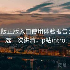 P站正版正版入口使用体验报告：怎么选一次讲清，p站intro