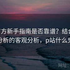 P站官方新手指南是否靠谱？结合实测分析的客观分析，p站什么鬼