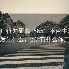P站用户行为研究1565：平台生态正在发生什么，p站有什么作用