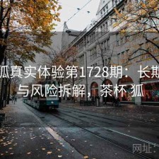 茶杯狐真实体验第1728期：长期表现与风险拆解，茶杯 狐