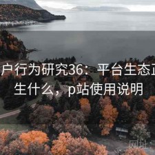 P站用户行为研究36：平台生态正在发生什么，p站使用说明