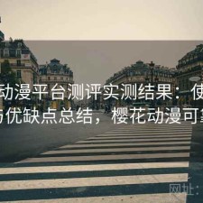 樱花动漫平台测评实测结果：使用技巧与优缺点总结，樱花动漫可靠吗