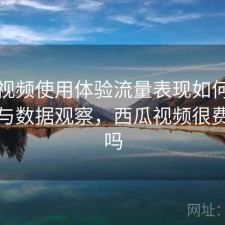 西瓜视频使用体验流量表现如何？靠谱吗与数据观察，西瓜视频很费流量吗