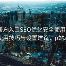 P站官方入口SEO优化安全使用指南：使用技巧与设置建议，p站zr