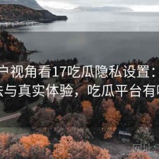 从用户视角看17吃瓜隐私设置：优化方法与真实体验，吃瓜平台有哪些