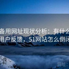 51网备用网址现状分析：有什么区别与用户反馈，51网站怎么倒闭了