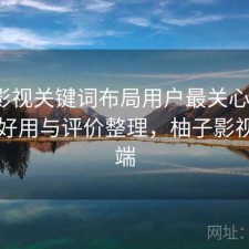 柚子影视关键词布局用户最关心什么？好不好用与评价整理，柚子影视客户端