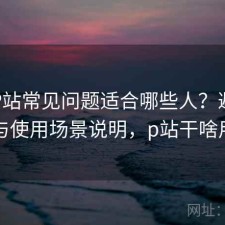 正规P站常见问题适合哪些人？避坑指南与使用场景说明，p站干啥用的