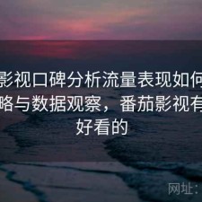 番茄影视口碑分析流量表现如何？完整攻略与数据观察，番茄影视有哪些好看的