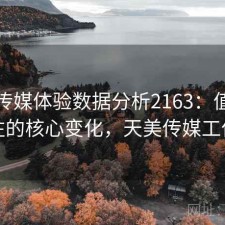 天美传媒体验数据分析2163：值得关注的核心变化，天美传媒工作