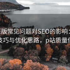 P站正版常见问题对SEO的影响：使用技巧与优化思路，p站质量低