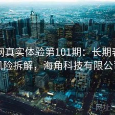 海角网真实体验第101期：长期表现与风险拆解，海角科技有限公司
