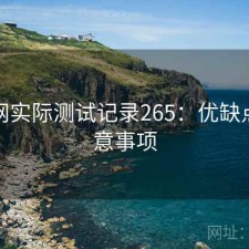 黑料网实际测试记录265：优缺点与注意事项