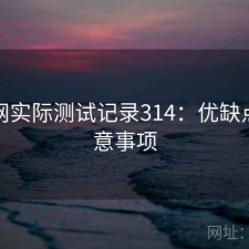 秀人网实际测试记录314：优缺点与注意事项