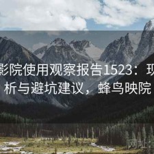 蜂鸟影院使用观察报告1523：现状分析与避坑建议，蜂鸟映院