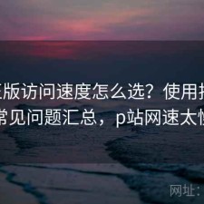 P站正版访问速度怎么选？使用技巧与常见问题汇总，p站网速太慢