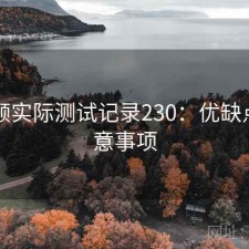 91视频实际测试记录230：优缺点与注意事项
