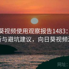 向日葵视频使用观察报告1483：现状分析与避坑建议，向日葵视频测试