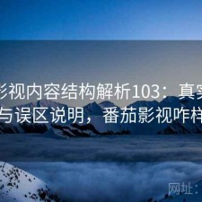 番茄影视内容结构解析103：真实情况与误区说明，番茄影视咋样