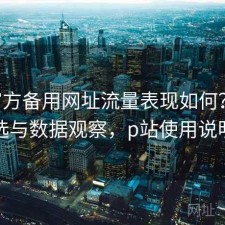 P站官方备用网址流量表现如何？怎么选与数据观察，p站使用说明
