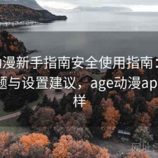 age动漫新手指南安全使用指南：存在的问题与设置建议，age动漫app怎么样