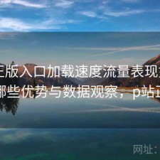 P站正版入口加载速度流量表现如何？有哪些优势与数据观察，p站正常