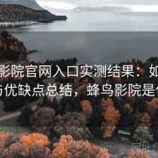 蜂鸟影院官网入口实测结果：如何使用与优缺点总结，蜂鸟影院是什么