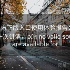 P站官方正版入口使用体验报告：是否值得一次讲清，p站 no valid sources are available for