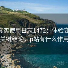 P站真实使用日志1472：体验变化与关键结论，p站有什么作用