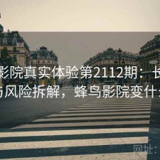 蜂鸟影院真实体验第2112期：长期表现与风险拆解，蜂鸟影院变什么了
