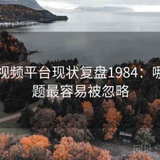 蘑菇视频平台现状复盘1984：哪些问题最容易被忽略