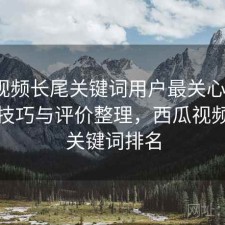 西瓜视频长尾关键词用户最关心什么？使用技巧与评价整理，西瓜视频搜索关键词排名