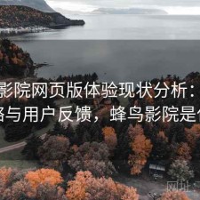 蜂鸟影院网页版体验现状分析：完整攻略与用户反馈，蜂鸟影院是什么