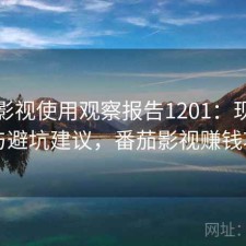 番茄影视使用观察报告1201：现状分析与避坑建议，番茄影视赚钱项目