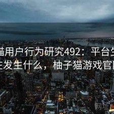 柚子猫用户行为研究492：平台生态正在发生什么，柚子猫游戏官网