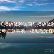 17吃瓜播放体验访问与播放体验：怎么选与注意事项，吃瓜视频在哪看