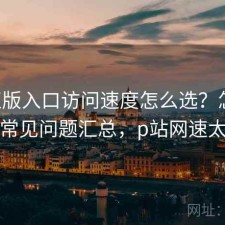 P站正版入口访问速度怎么选？怎么选与常见问题汇总，p站网速太慢