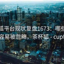 茶杯狐平台现状复盘1673：哪些问题最容易被忽略，茶杯狐 - cupfox