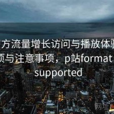 P站官方流量增长访问与播放体验：注意事项与注意事项，p站format is not supported