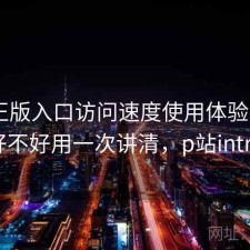 P站正版入口访问速度使用体验报告：好不好用一次讲清，p站intro