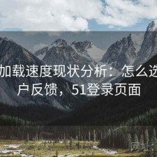 51网加载速度现状分析：怎么选与用户反馈，51登录页面
