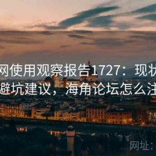 海角网使用观察报告1727：现状分析与避坑建议，海角论坛怎么注册