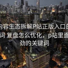 聚焦内容生态拆解P站正版入口的长尾关键词 复盘怎么优化，p站里面最带劲的关键词