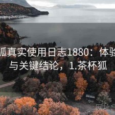 茶杯狐真实使用日志1880：体验变化与关键结论，1.茶杯狐