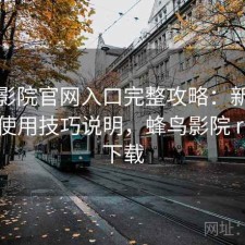 蜂鸟影院官网入口完整攻略：新手必看的使用技巧说明，蜂鸟影院 rmvb 下载