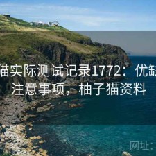 柚子猫实际测试记录1772：优缺点与注意事项，柚子猫资料