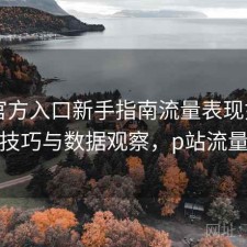 P站官方入口新手指南流量表现如何？使用技巧与数据观察，p站流量第一